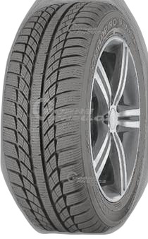 GT Radial Champiro WinterPro