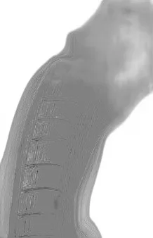 Dunlop SP Sport 01A