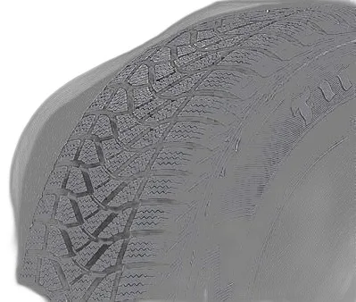 Firestone Winterhawk